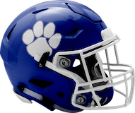 North Penn-Mansfield Panthers logo
